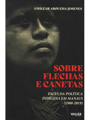 Sobre Flechas e Canetas: Faces da Política Indígena em Manaus (1980-2019)