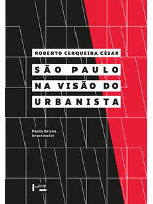 São Paulo na Visão do Urbanista