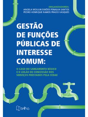 Gestão de Funções Públicas de Interesse Comum: o Caso do Saneamento Básico e o Leilão de Concessão D