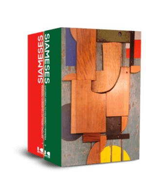 Siameses 2 Volumes: Prêmio Machado de Assis - Melhor Romance Biblioteca Nacional 2022