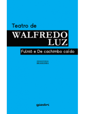 Teatro de Walfredo Luz