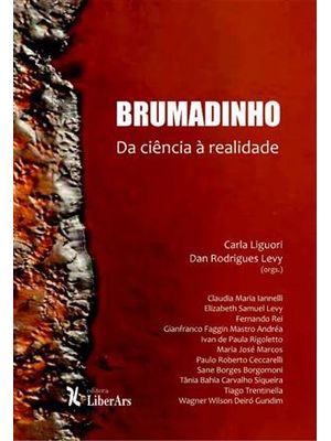 Brumadinho - da Ciência À Realidade