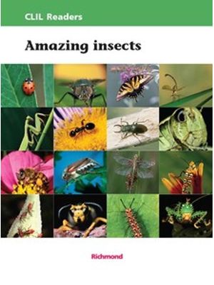 Amazing Insects
