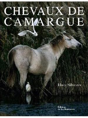 Chevaux de Camargue