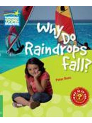Why do Raindrops Fall? - Level 3
