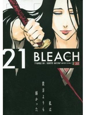 Bleach Remix Vol. 21