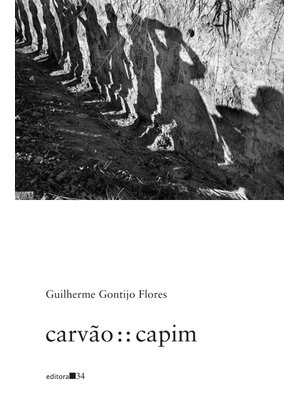 Carvão : : Capim