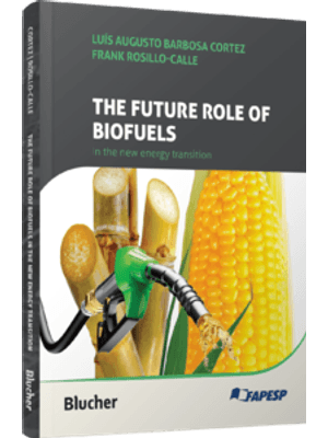 The Future Role of Biofuels in The New Energy Transition: Lessons and Perspectives of Biofuels in Br