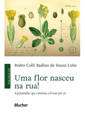 Uma Flor Nasceu na Rua!: a Psicanálise Que Continua a Brotar por Aí