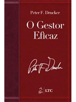 O Gestor Eficaz