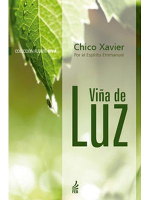 Viña de Luz (Vinha de Luz - Espanhol)