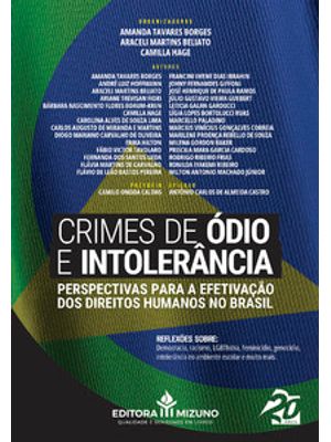 Crimes de Ódio e Intolerância: Perspectivas para a Efetivação dos Direitos Humanos no Brasil