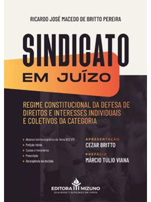 Sindicato em Juízo