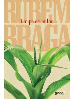 Um Pé de Milho