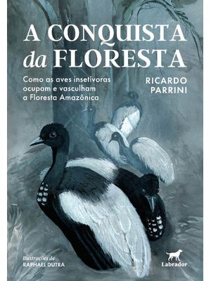 A Conquista da Floresta: Como as Aves Insetívoras Ocupam e Vasculham a Floresta Amazônica
