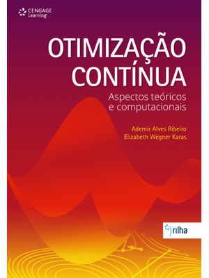 Otimização Contínua: Aspectos Teóricos e Computacionais