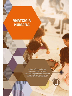 Anatomia Humana