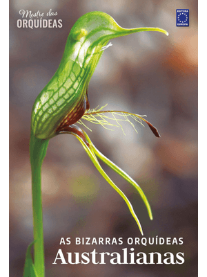 As Bizarras Orquídeas Australianas - Mestre das Orquídeas - Volume 21