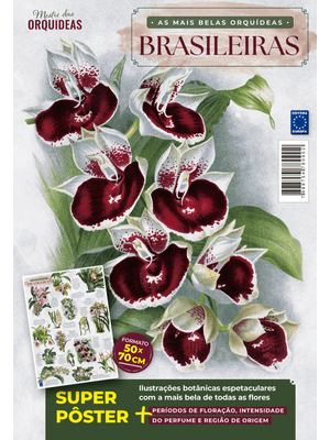 As Mais Belas Orquídeas Brasileiras - Pôster Mestre das Orquídeas
