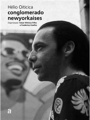 Helio Oiticica - Conglomerado Newyorkases