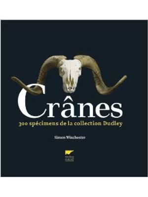 Crânes - 300 Specimens de La Collection Dudley