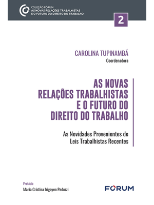 As Novas Relações Trabalhistas e o Futuro do Direito do Trabalho: as Novidades Provenientes de Leis