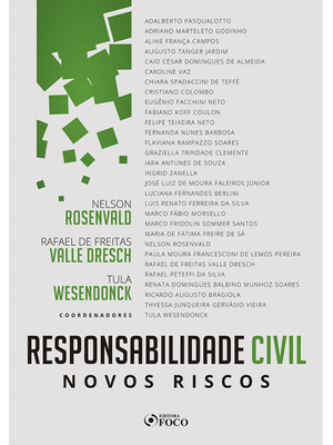 Responsabilidade Civil Novos Riscos