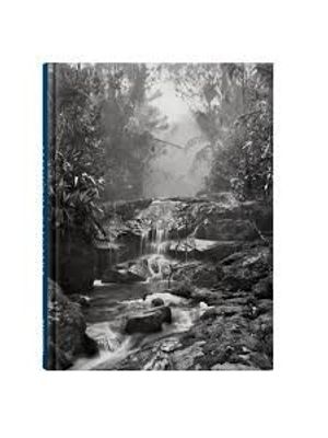 Pk Salgado Amazonia - Non