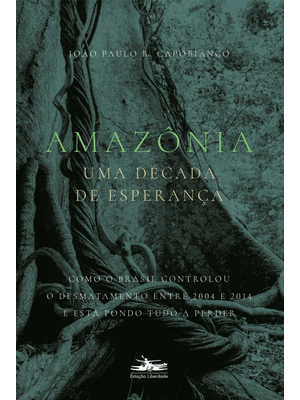 Amazônia: Uma Década de Esperança