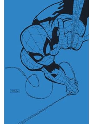 Homem-Aranha: Azul
