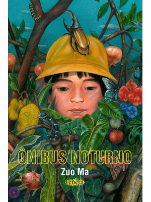 Ônibus Noturno