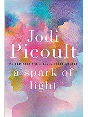 Spark of Light, a - Novel, a