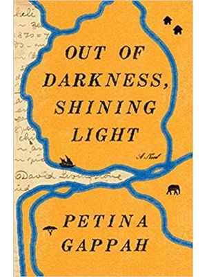 Out of Darkness, Shining Light - a Novel