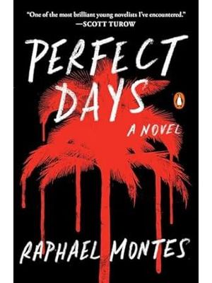 Perfect Days - a Novel