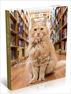 Bookstore Cats