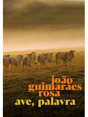 Ave, Palavra