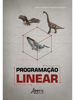 Programação Linear