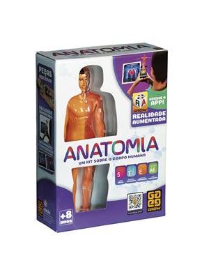 Anatomia
