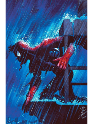 O Espetacular Homem-Aranha Vol. 28 / 72