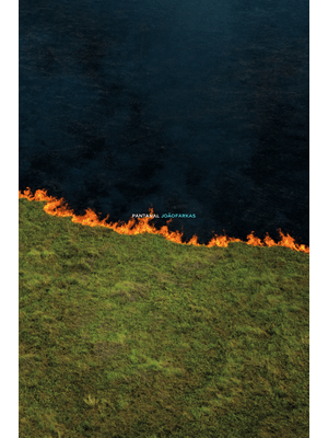 Pantanal