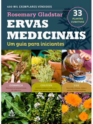 Ervas Medicinais: Um Guia para Iniciantes