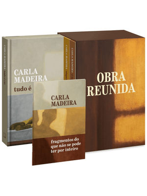 Box Carla Madeira - Obra Reunida