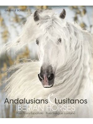 Andalusians & Lusitanos - Iberian Horses