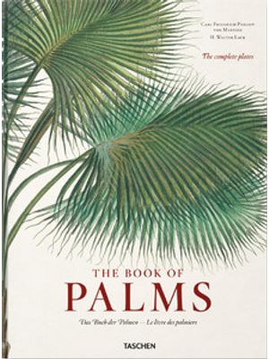 The Book of Palms