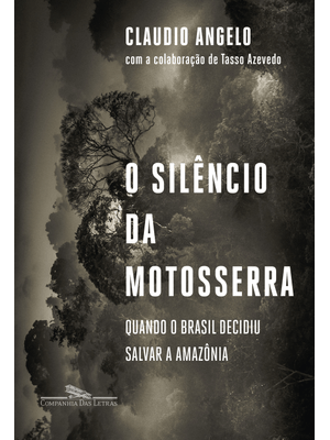 O Silêncio da Motosserra: Quando o Brasil Decidiu Salvar a Amazônia