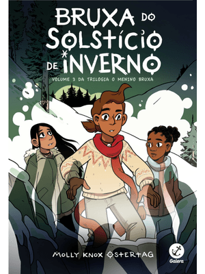 Bruxa do Solstício de Inverno (Vol. 3 o Menino Bruxa)