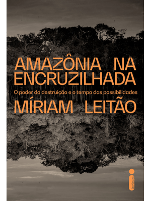 Amazônia na Encruzilhada: o Poder da Destruição e o Tempo das Possibilidades