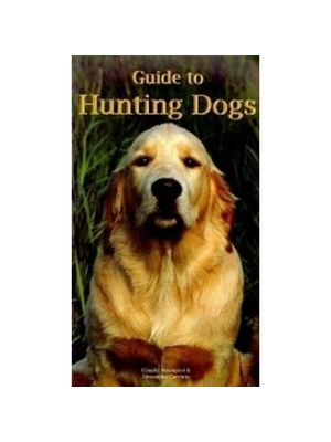 Guide To Hunting Dogs