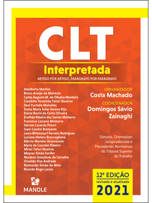 Clt Interpretada: Artigo por Artigo, Parágrafo por Parágrafo