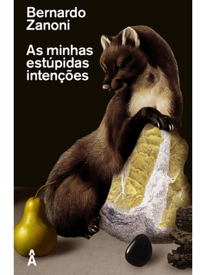 As Minhas Estúpidas Intenções